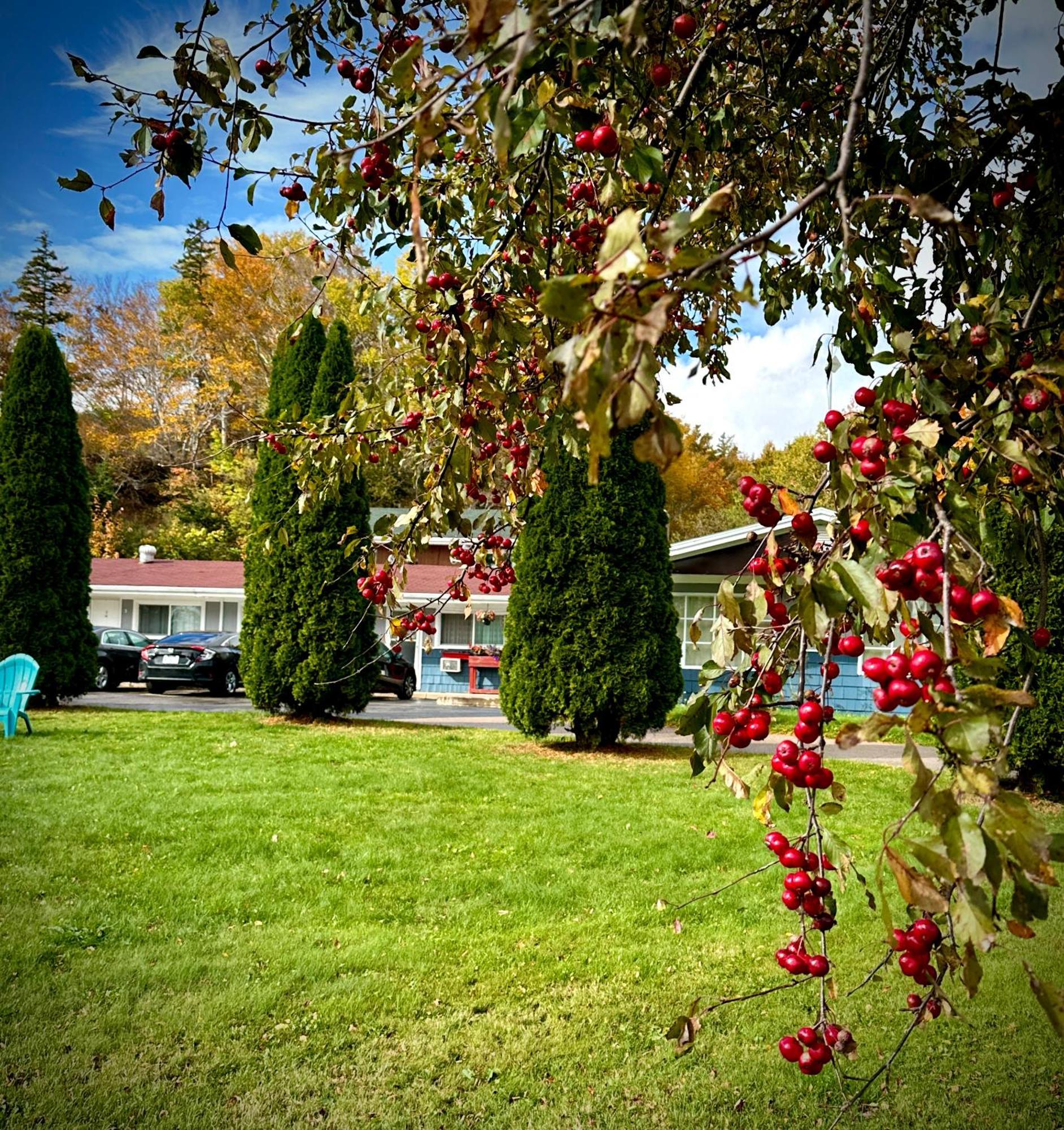 Motel Aberdeen 3*